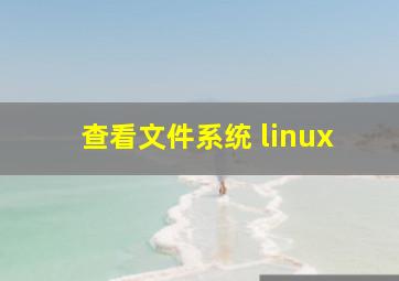 查看文件系统 linux